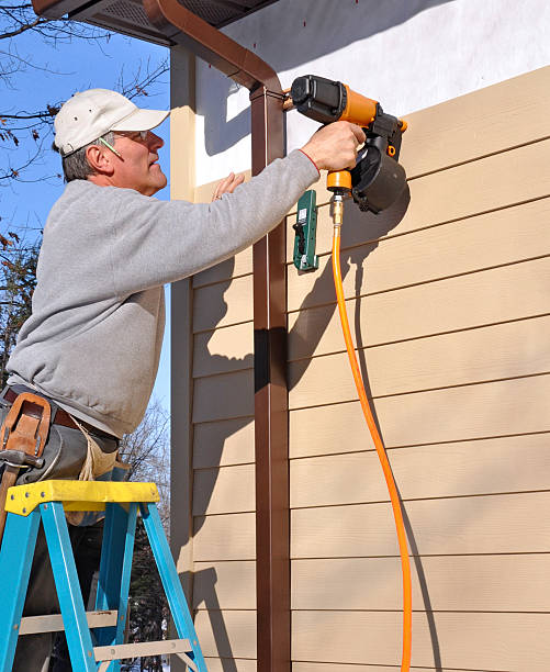 Best Vinyl Siding Installation  in Baudette, MN